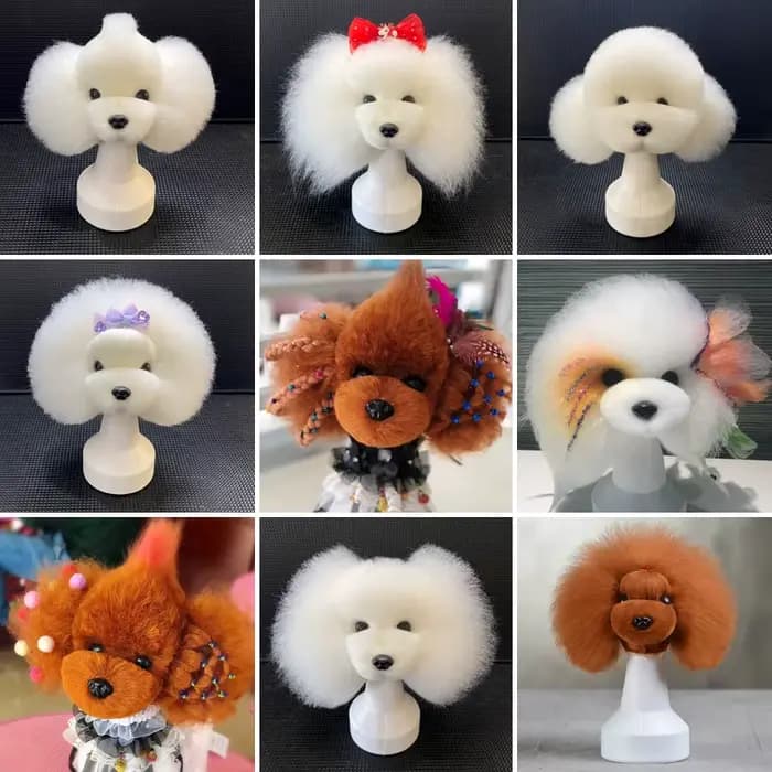 Modèle professionnel de toilettage pour animaux de compagnie, pour pratique de toilettage, modèle sq