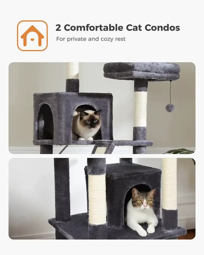 Grand Arbre à Chat d'Nikde 71 Pouces, Tour à Plusieurs Niveaux avec 2 Perchoirs, 2 Condos, Hamac et