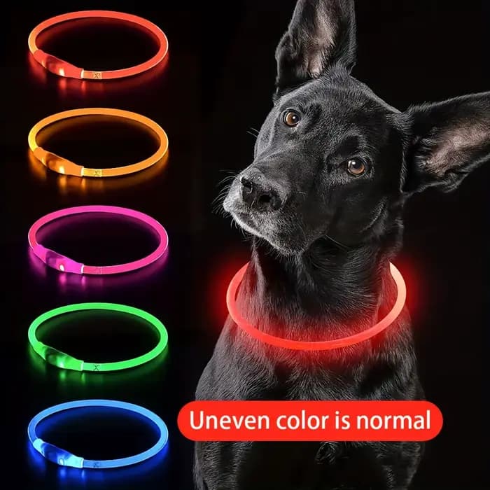 Collier lumineux LED pour chien de compagnie, Anti-perte, Rechargeable par USB