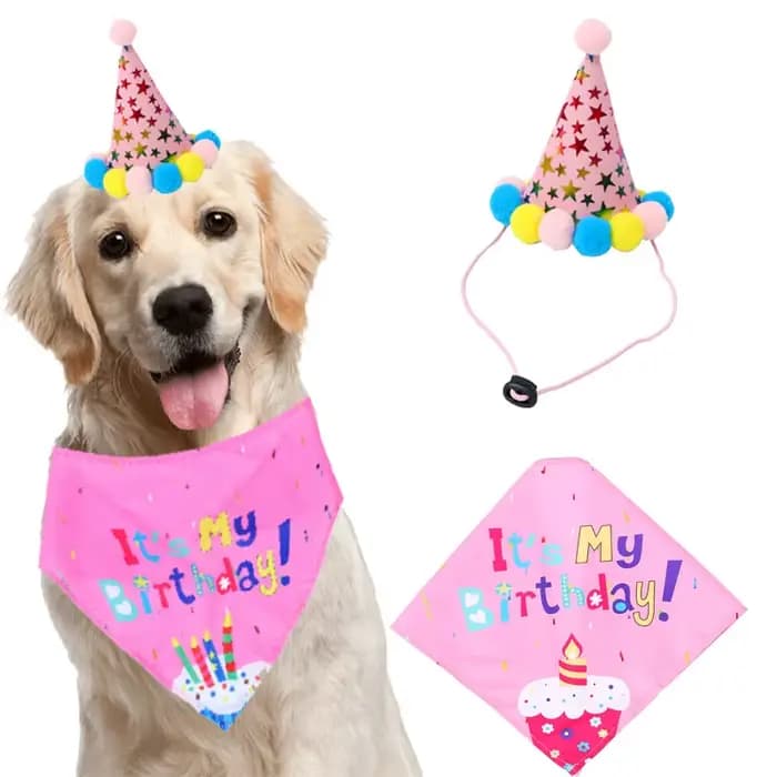 Ensemble de ixd'Anniversaire pour Animaux de Compagnie, Ballon, Bandana, Chapeau, Nministériels d Pa
