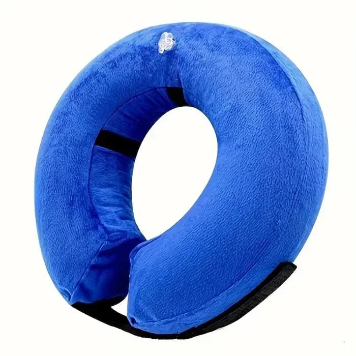 Collier gonflable pour chiens et chats, accessoire de récupération pour animaux de compagnie, cônes