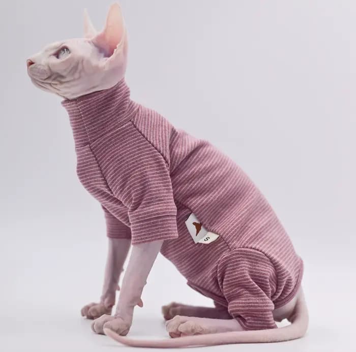 Vêtements pour chats sans poils, sweat à capuche chaud et doux à quatre pattes pour chats Sphynx pou