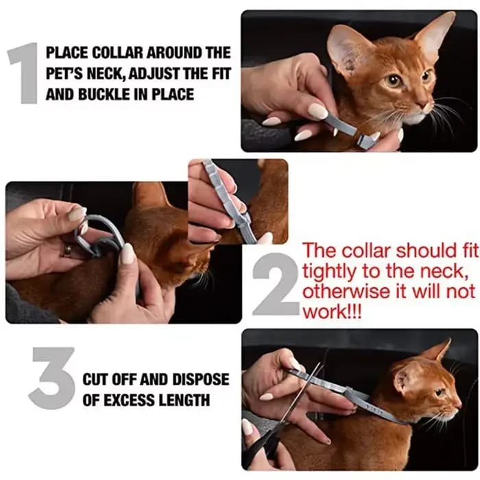 Collier de défense contre les pulies et les tiques de 8 mois pour chiens et chats – Protection anti-