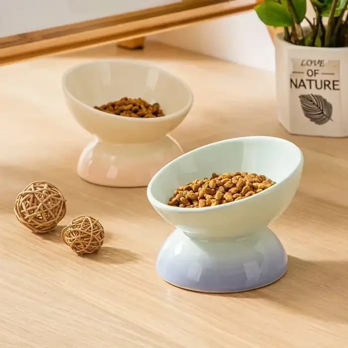 Bol en céramique pour chat, mangeoires d'eau dégradées pour aliments pour animaux de compagnie, four