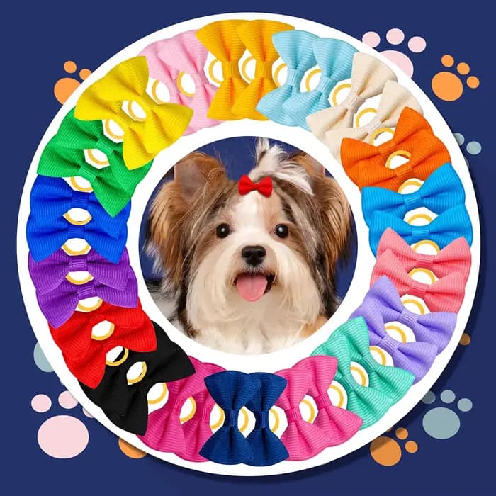 Nœuds de toilettage pour animaux de compagnie, 30 pièces, accessoires pour cheveux d'animaux de comp