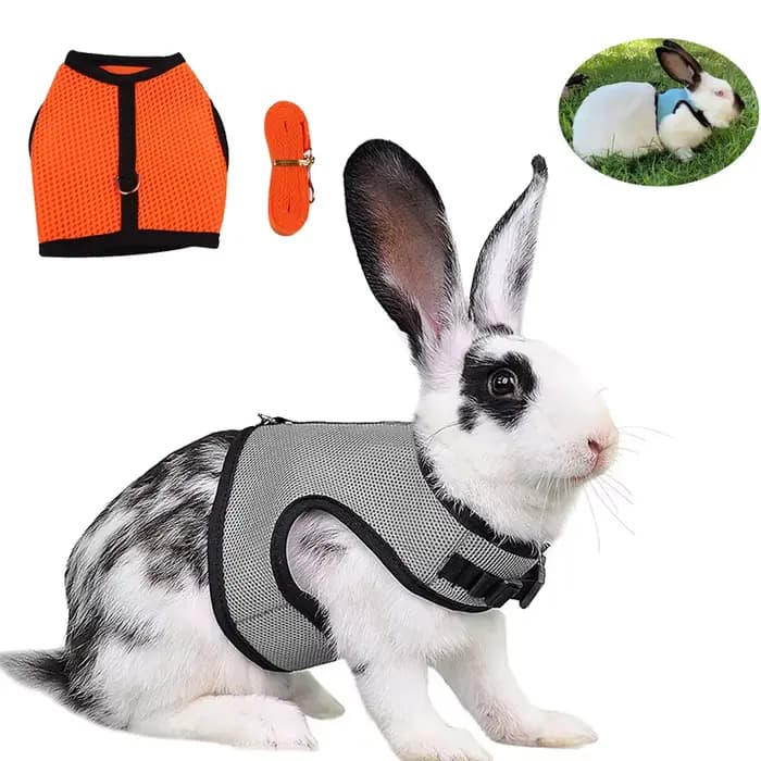 Ensemble harnais et laisse en maille respirante pour lapin, pour furets, accessoires de lapin, harna