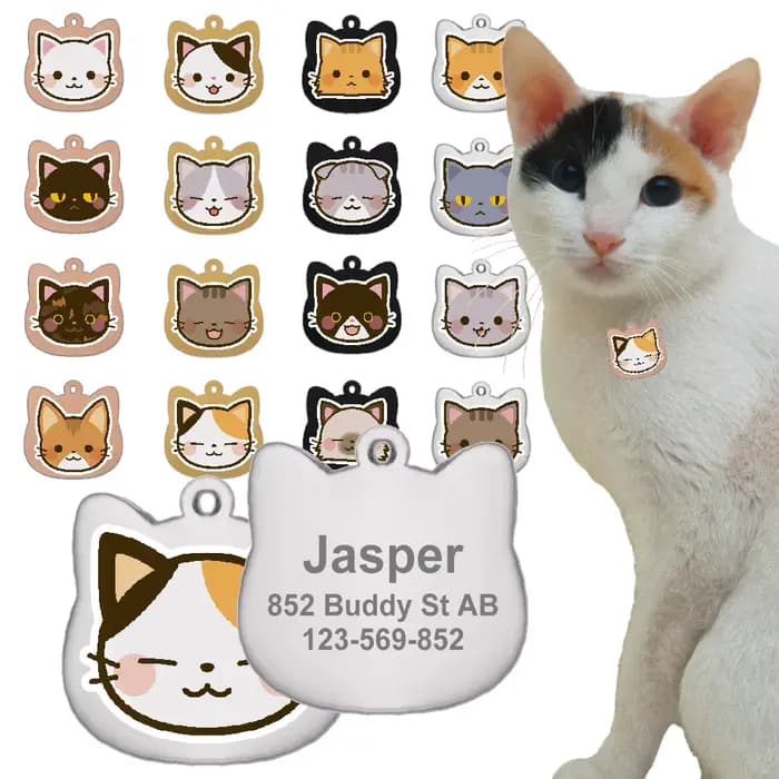 Étiquettes de chat personnalisées mignonnes en acier inoxydable, motif coloré, étiquettes de nom de