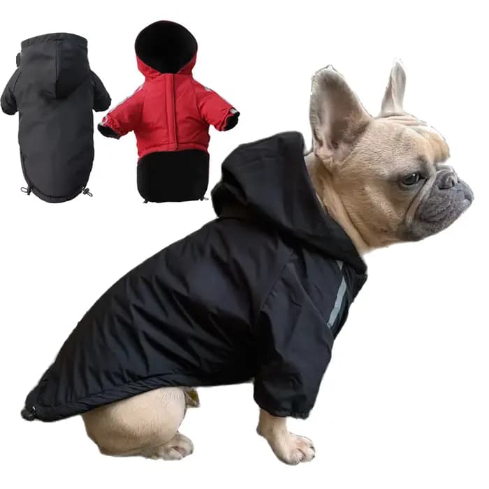 Automne hiver chien de compagnie imperméable chaud manteau coton à capuche veste le visage de chien