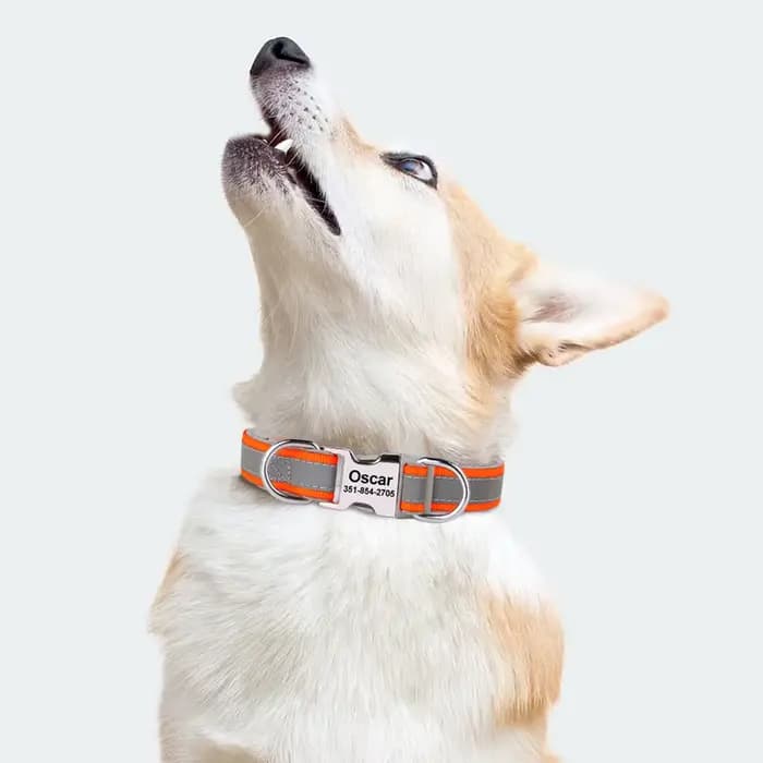 Collier de chien personnalisé réfléchissant, graver ID, colliers en Nylon, doux et rembourré, réglab
