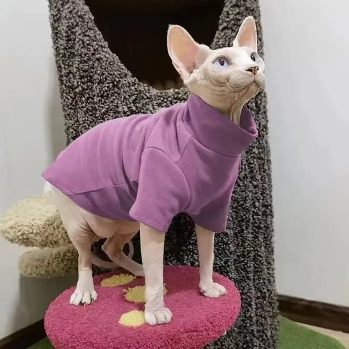Vêtements d'hiver épais pour chat Sphynx, vêtements pour petits chiens et chats, pull doux et chaud,