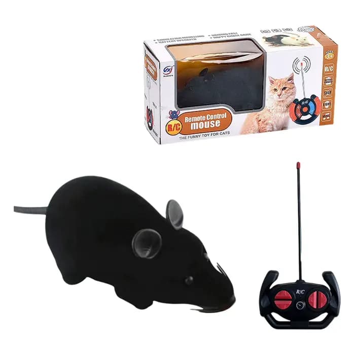 Jouet électronique pour chat, jeu interactif pratique et Portable pour animaux de compagnie, apparen