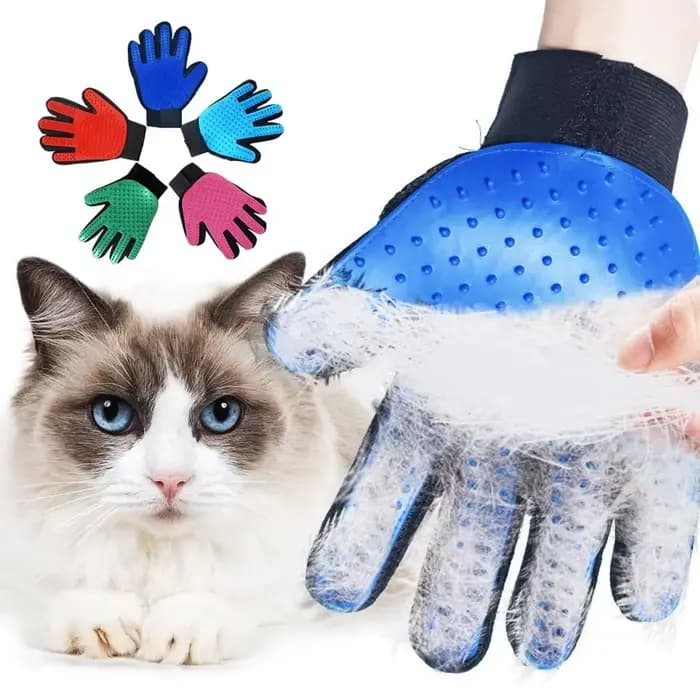 Gant de toilettage en laine pour chat et chien, brosse démêlante pour poils d'animaux, peigne de mas