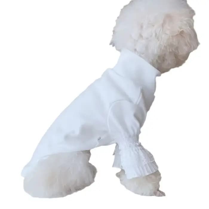 Chien pur blanc chemise à bascule vêtements pour animaux de compagnie blanc chiot chat Teddy printem