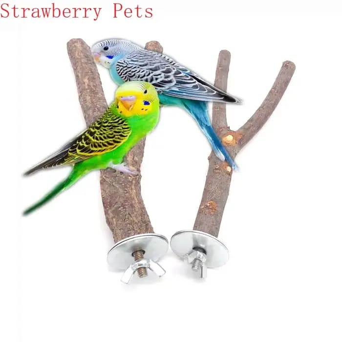 Parrot en bois naturel pour animaux de compagnie, fourchette en bois brut, support de branche d'arbr