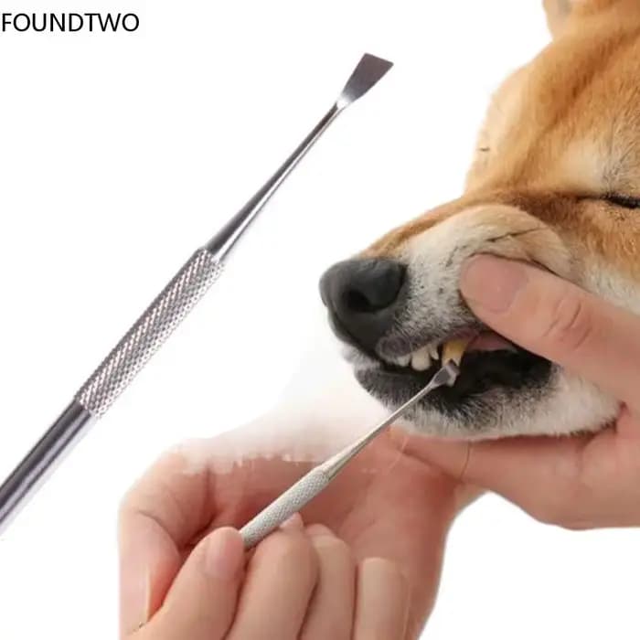Outil de livres de dents pour animaux de compagnie, acier inoxydable, double tête, dissolvant de tar