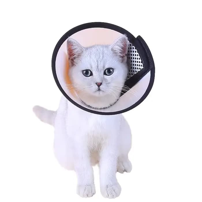 Collier de protection pour animaux de compagnie, cône de récupération du cou du chien, Anti-morsure,