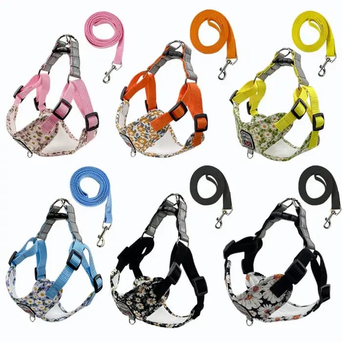 Harnais pour chien de compagnie en nylon, sangle de poitrine réfléchissante sans traction, collier r