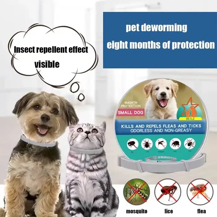 Collier Anti-puces et tiques pour chien et chat, Protection rétractable de 8 mois, pour chiot, chat,