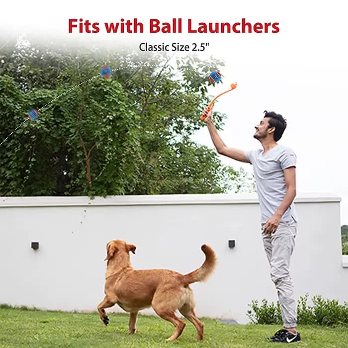 Balle de Tennis grinçante pour chien, jouets interactifs pour chien, son à rebond élevé, balle en ca