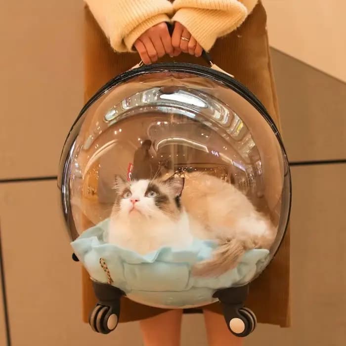 Sac de voyage portable pour chat, grande capacité, transparent, respirant, étui à roulettes pour ani