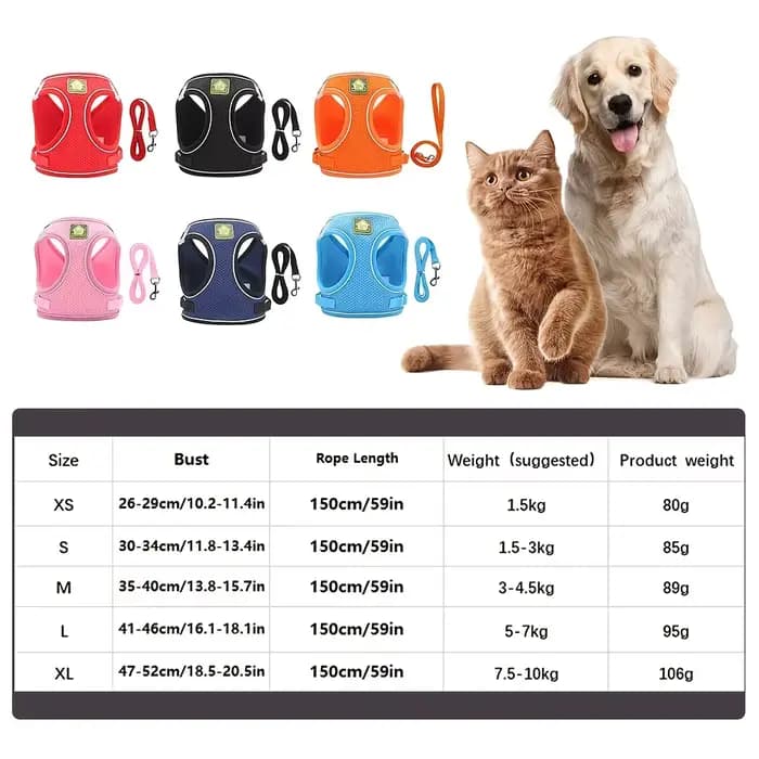 Ensemble de coulée SFP et laisse pour chien et chat, sans côtes, maille respirante