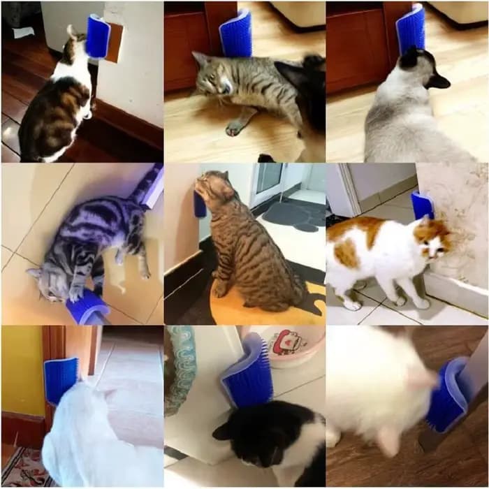 Masseur à gratter pour chat, brosse pour animaux de compagnie, élimine le peigne à cheveux, Table de