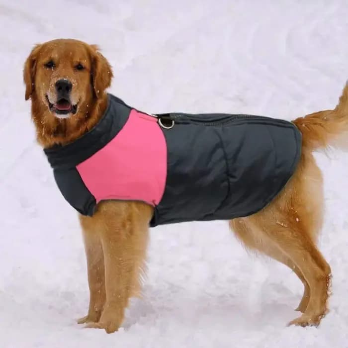 Hiver chaud chien gilet veste S-7XL vêtements pour animaux de compagnie pour petits moyens grands ch