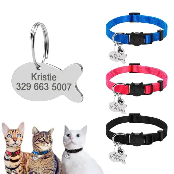 Collier en Nylon réglable pour chat gravé, étiquette d'identification personnalisée mignonne pour ch