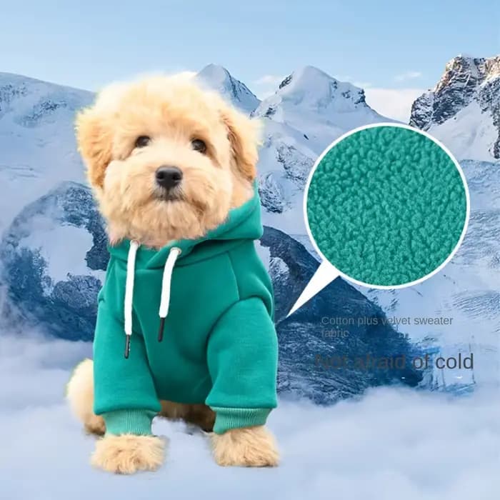 Vêtements pour chiens, sweat à capuche pour petits et moyens chiens, sweat-shirt d'extérieur, bouled