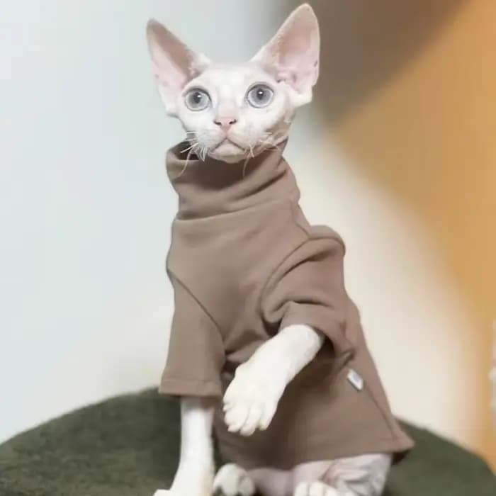 DUOMASUMI-Vêtements thermiques chauds auto-chauffants pour chat Sphynx, sous-vêtements sans poils, D