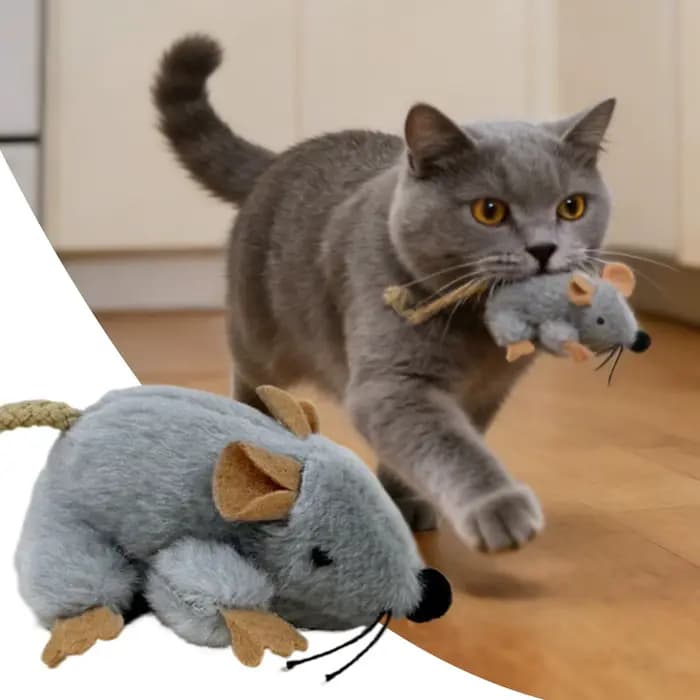 Jouet pour chat avec son intégré, compact, pour le jeu, jouets en peluche pour chat, pour usage quot