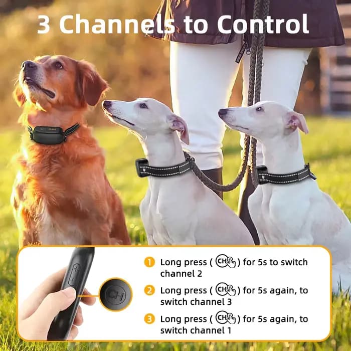 ROJECO-Collier de dressage électrique pour chien, télécommande numérique aste, vibrateur étanche IPX