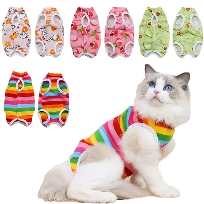 Combinaison de stérilisation pour chat, combinaison pour petits chiens et chats, vêtements de récupé