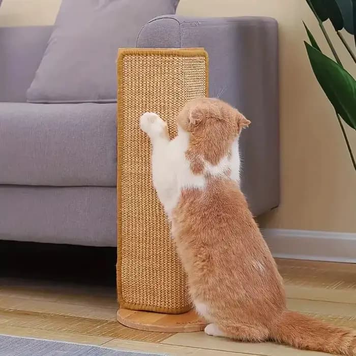 Tapis à gratter en Sisal naturel pour chat, tapis à gratter horizontal pour sol de chat, protection