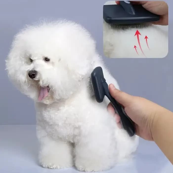 Peigne pour chien, brosse de toilettage pour chien, brosse de Massage pour chat, épilateur pour anim