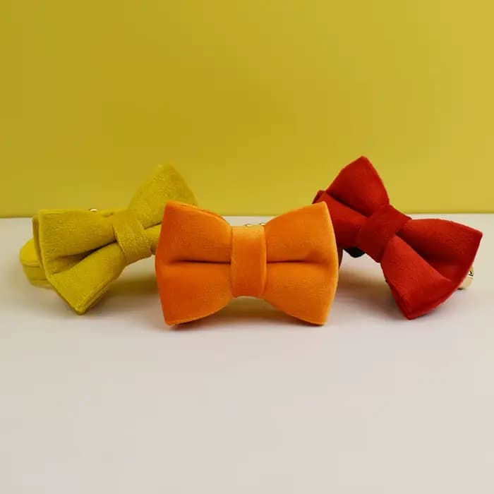 Collier pour chat en velours personnalisé avec étiquette d'identification, collier pour chaton avec