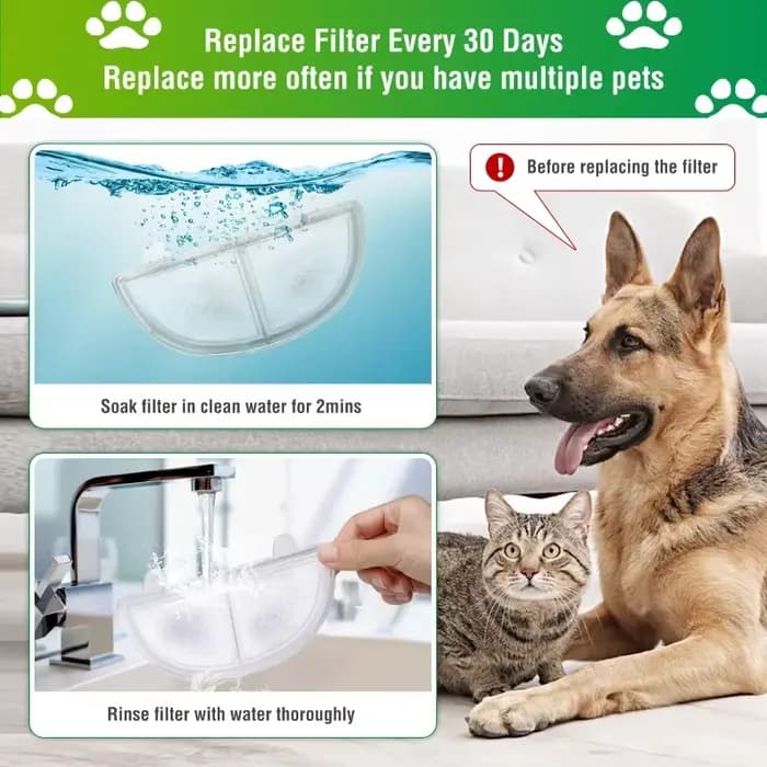 Filtres de remplacement éponge pour fontaine d'eau WF20/CF20 Homerun chat, remplacement de filtre de