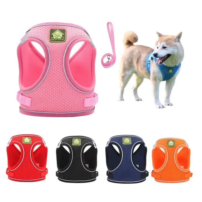 Collier de Marche SFP pour Chien et Chat, Maille Réglable, Accessoire Adapté aux Animaux de Petite e