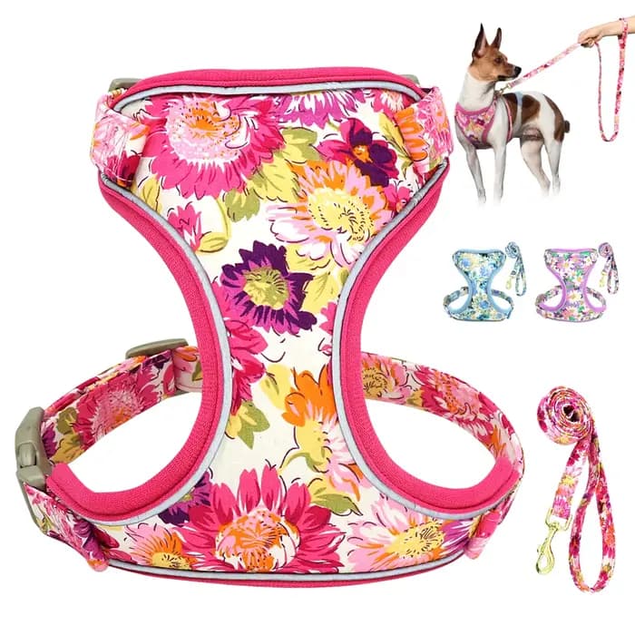 Harnais en maille et Nylon pour chien, ensemble de laisse en plomb, gilet réfléchissant pour chiens,
