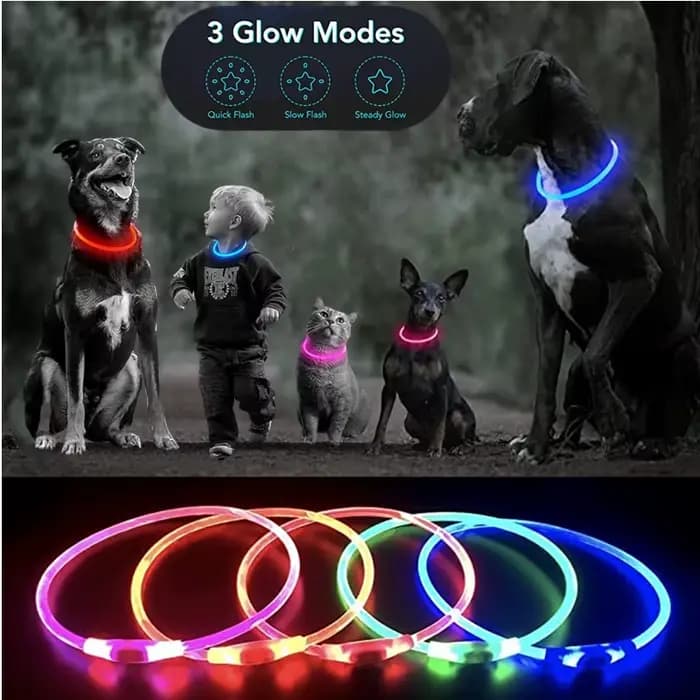 Collier de chien lumineux Led, collier de chargement USB, clignotant, bricolage, sécurité lumineuse,