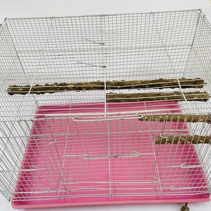Barre de meulage de bec de griffe d'oiseau 10/15/20 cm, bâton debout, fournitures pour oiseaux, acce