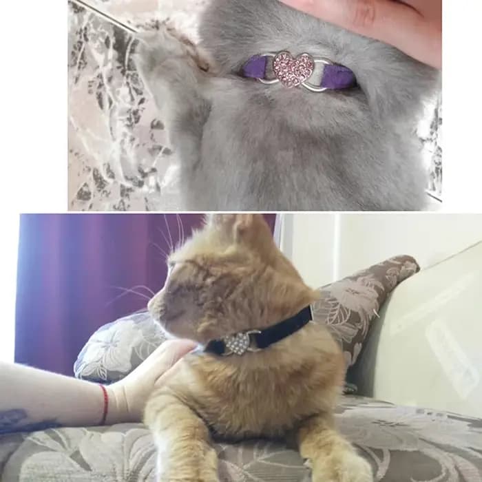 Collier de chat à breloque en forme de cœur et cloche, élastique de sécurité réglable avec matériau