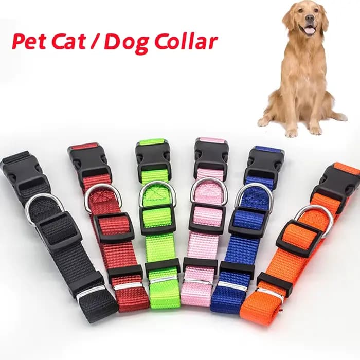 Colliers réglables en Nylon pour chiot et chaton, bande de cou solide et Durable, adaptés aux chats