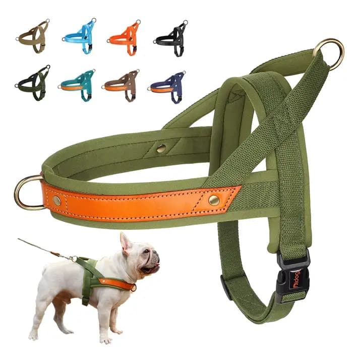 Harnais pour chien sans traction, rembourré et doux, gilet réfléchissant, harnais d'entraînement pou