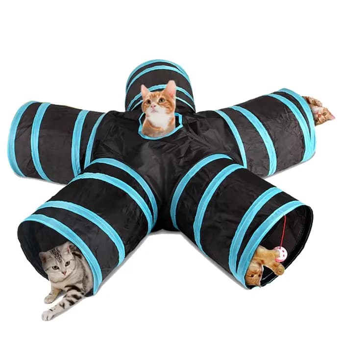 Tube tunnel pour chat, jouets pliables pour chaton drôle, formation interactive pour chat, jeux d'an
