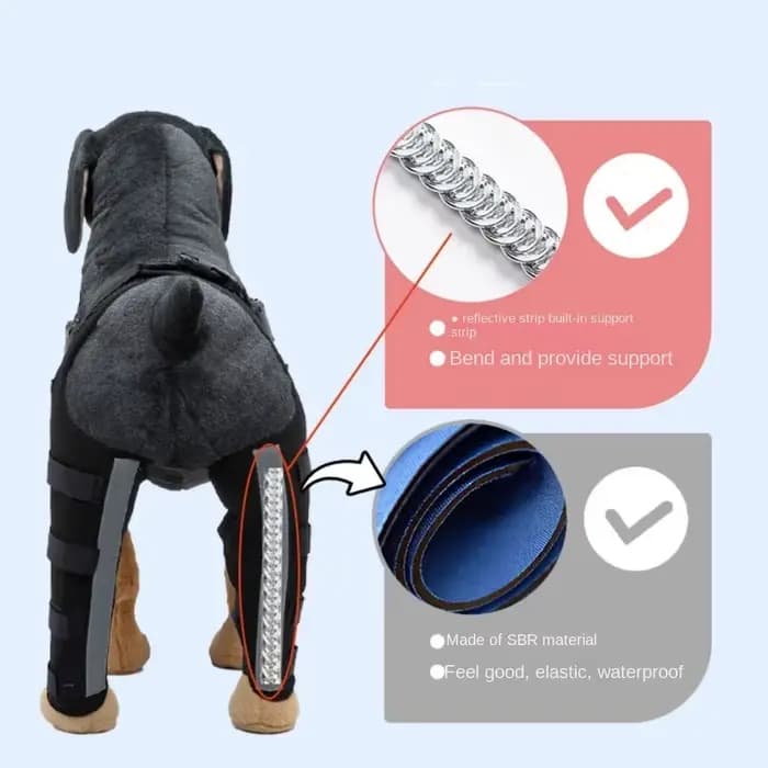 Genouillères pour chiots de compagnie, attelles arrière pour chiens blessés, attelle de soutien pour