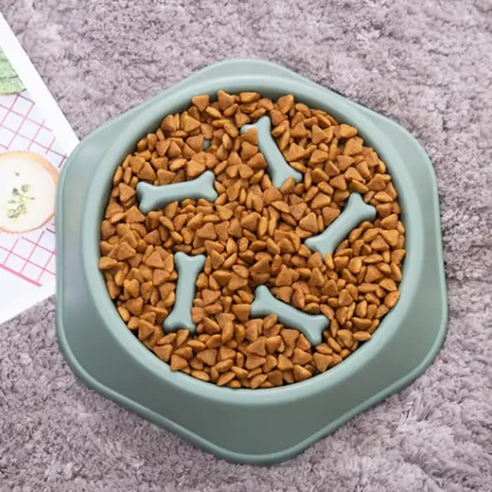 Filles à Nourriture Lente Anti-étouffement pour Animaux Domestiques, pio en Plastique PP, Assiette p
