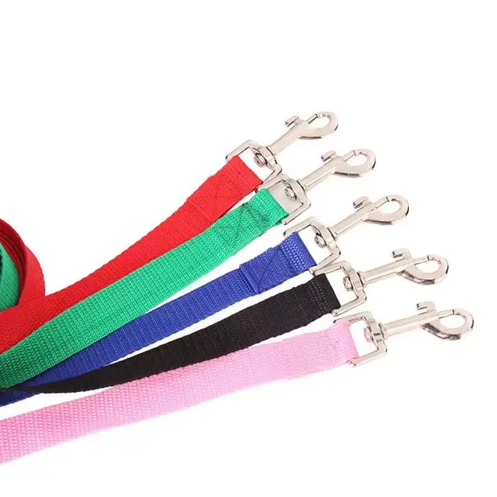 Laisse en nylon pour chien de compagnie, laisse pour petits et moyens chiens, chats, chiot, marche,
