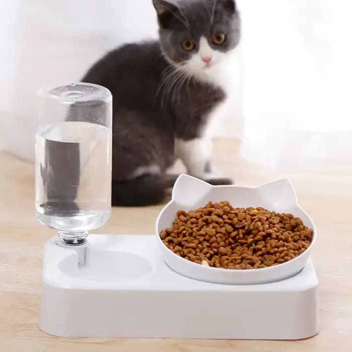 Mangeoire automatique pour animaux de compagnie, mangeoire pour chien, inclinaison pour protéger les