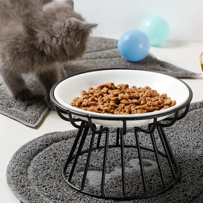 Bol en céramique pour animaux de compagnie, grand bol de nourriture pour chat, plat de boîte à colla